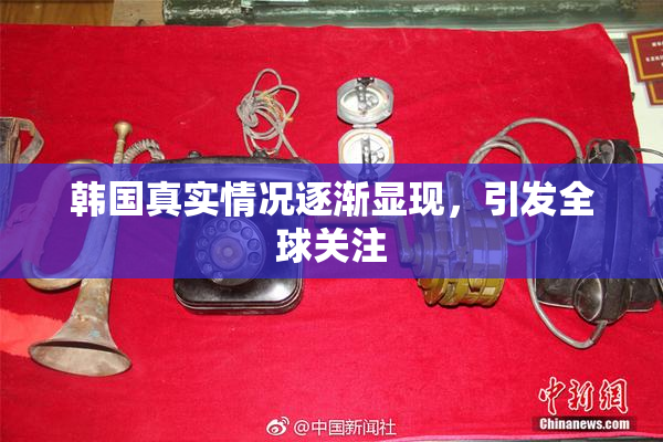 韩国真实情况逐渐显现，引发全球关注