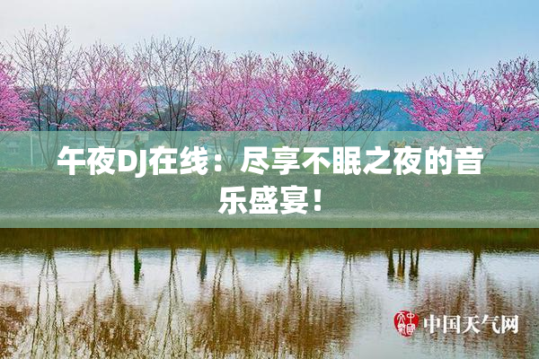 午夜DJ在线：尽享不眠之夜的音乐盛宴！
