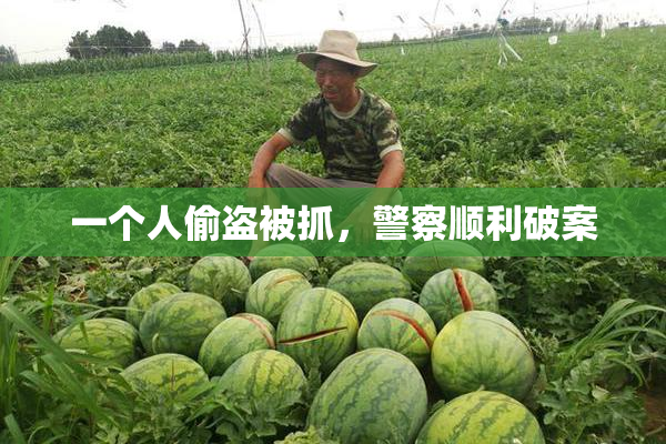 一个人偷盗被抓，警察顺利破案