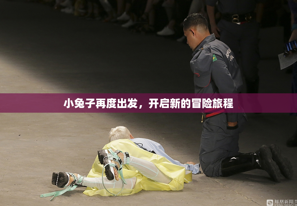 小兔子再度出发，开启新的冒险旅程