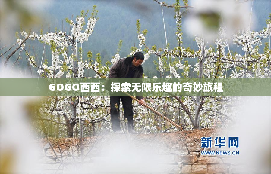 GOGO西西：探索无限乐趣的奇妙旅程