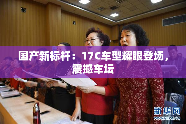 国产新标杆：17C车型耀眼登场，震撼车坛