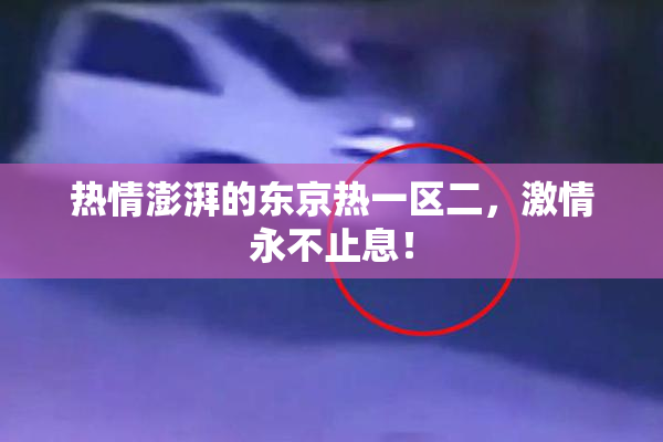 热情澎湃的东京热一区二，激情永不止息！
