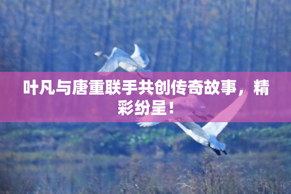 叶凡与唐重联手共创传奇故事，精彩纷呈！