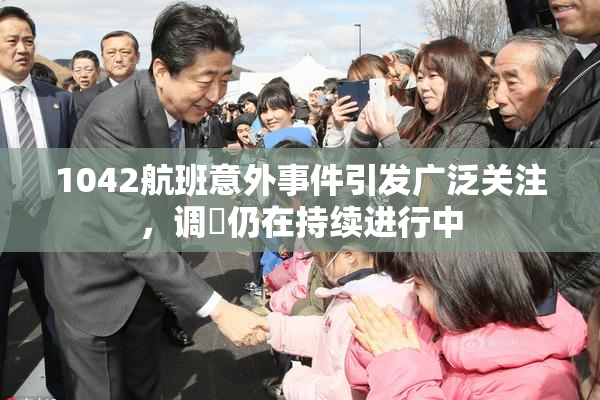 1042航班意外事件引发广泛关注，调査仍在持续进行中
