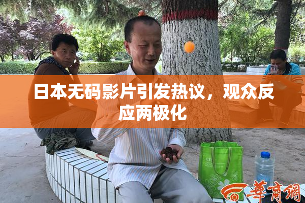 日本无码影片引发热议，观众反应两极化