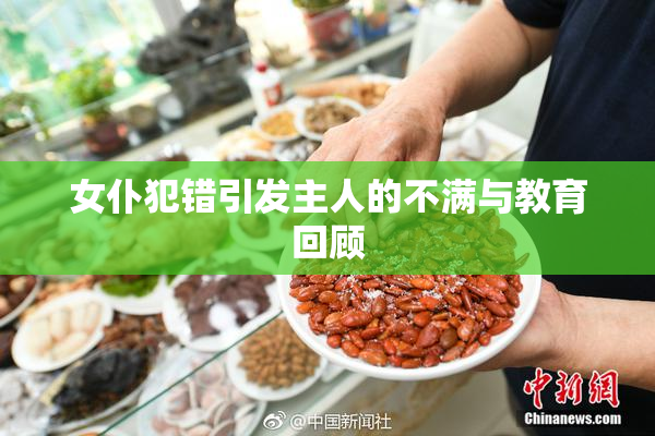 女仆犯错引发主人的不满与教育回顾