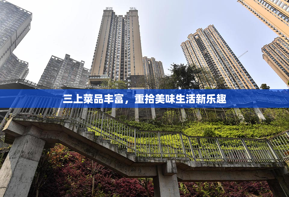 三上菜品丰富，重拾美味生活新乐趣