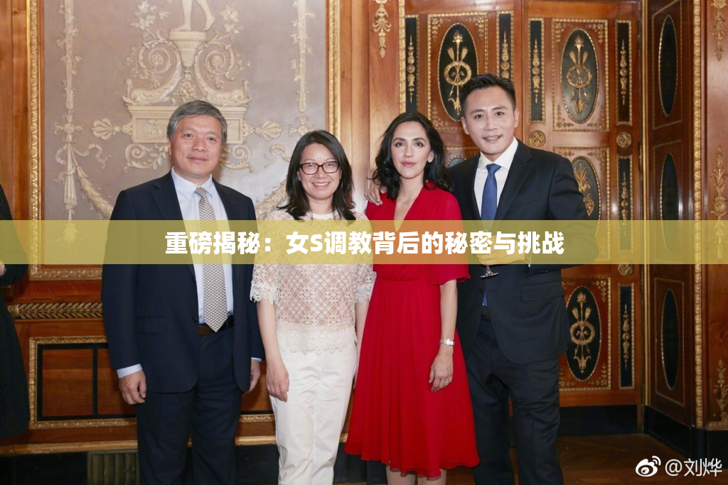 重磅揭秘：女S调教背后的秘密与挑战