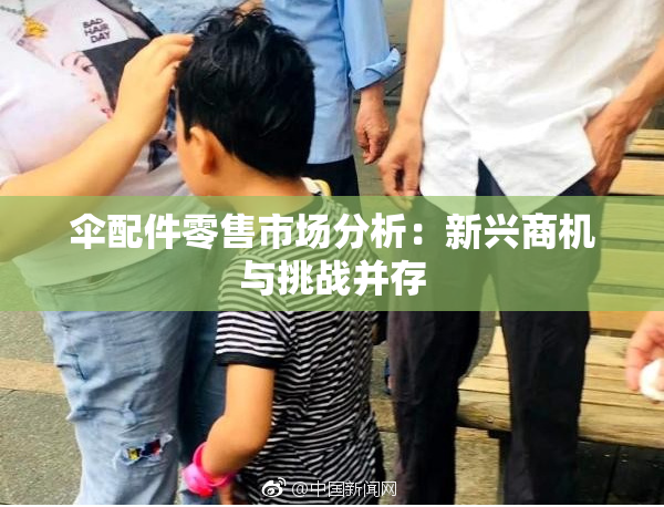 伞配件零售市场分析：新兴商机与挑战并存
