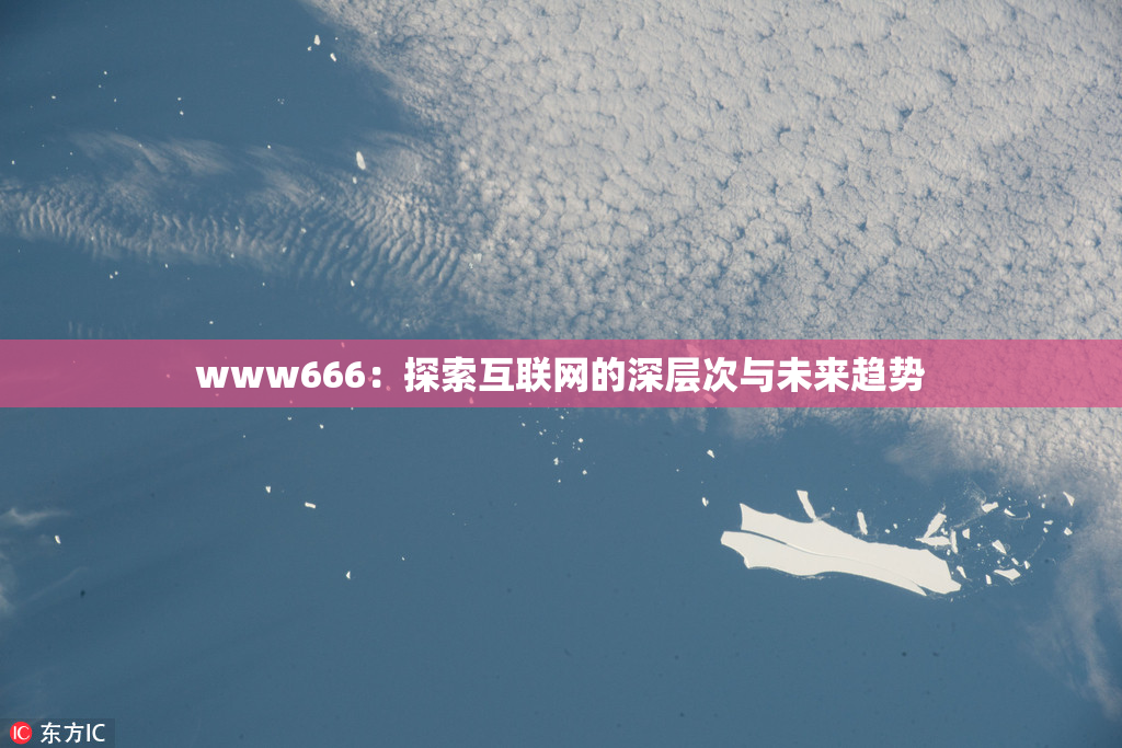 www666：探索互联网的深层次与未来趋势