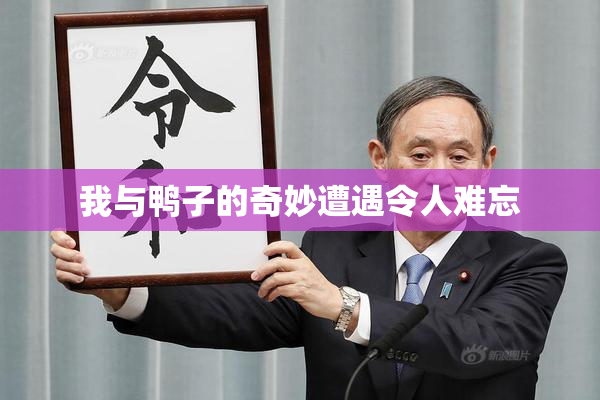 我与鸭子的奇妙遭遇令人难忘