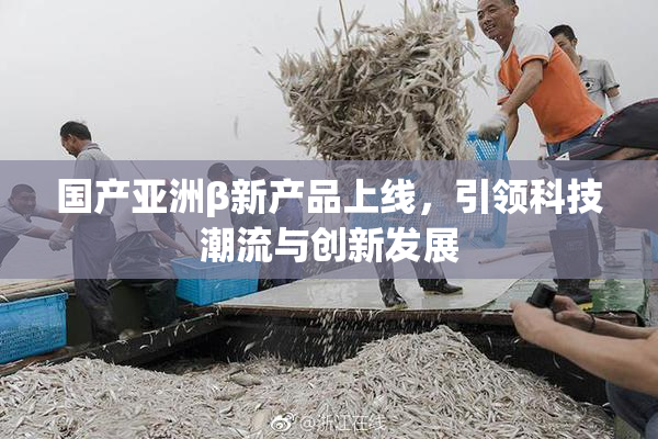 国产亚洲β新产品上线，引领科技潮流与创新发展