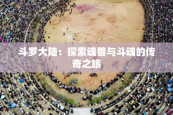 斗罗大陆：探索魂兽与斗魂的传奇之旅