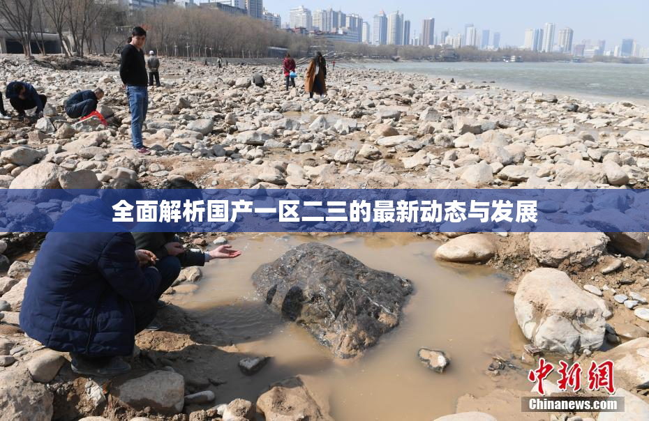 全面解析国产一区二三的最新动态与发展