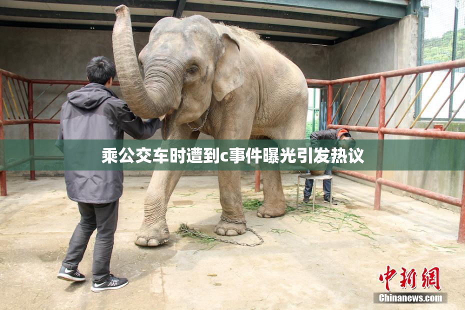 乘公交车时遭到c事件曝光引发热议