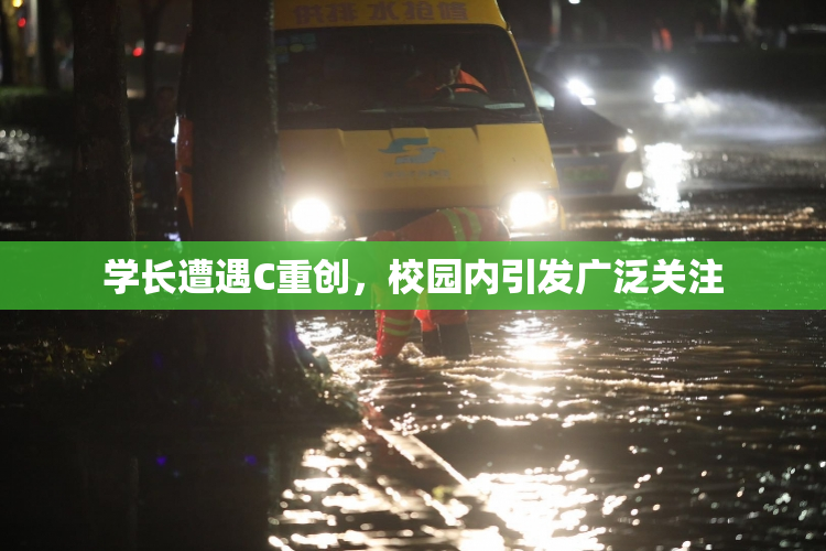 学长遭遇C重创，校园内引发广泛关注
