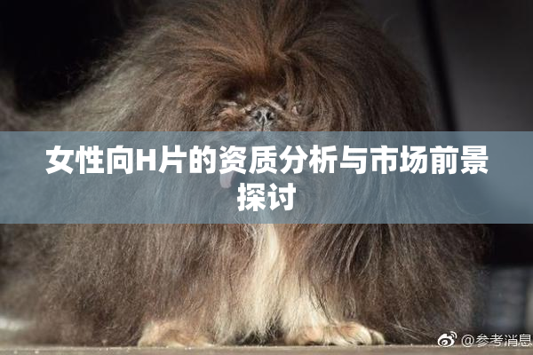 女性向H片的资质分析与市场前景探讨