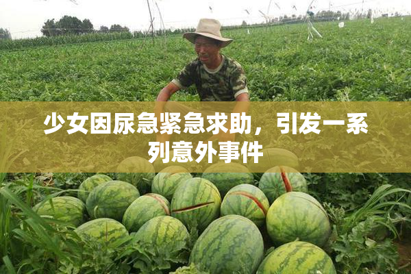 少女因尿急紧急求助，引发一系列意外事件