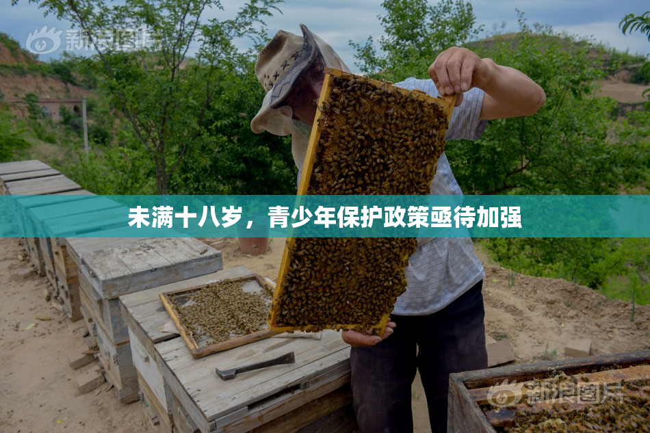 未满十八岁，青少年保护政策亟待加强