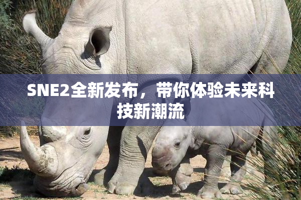SNE2全新发布，带你体验未来科技新潮流