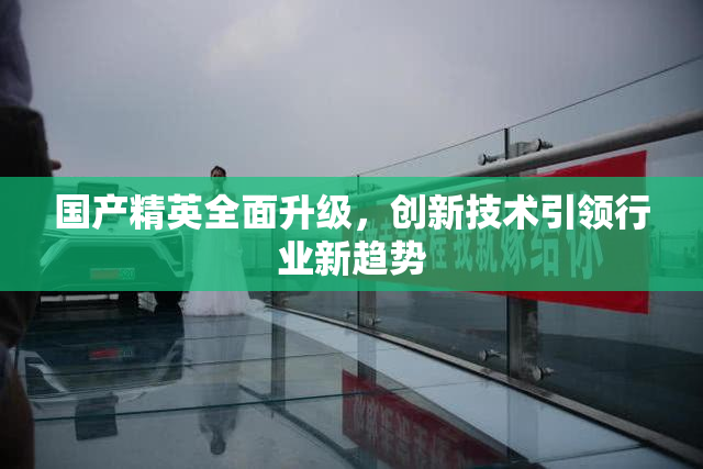 国产精英全面升级，创新技术引领行业新趋势