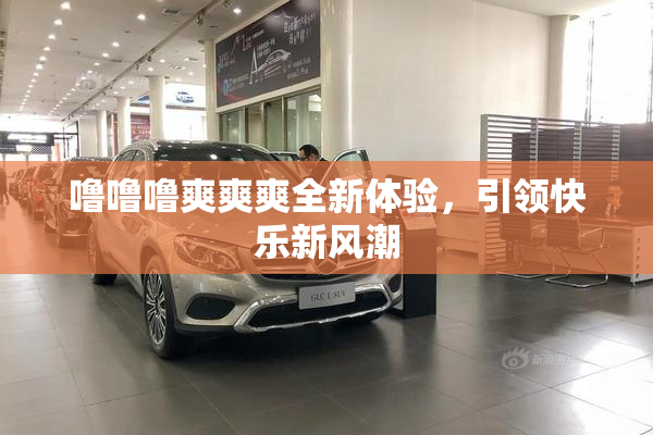 噜噜噜爽爽爽全新体验，引领快乐新风潮
