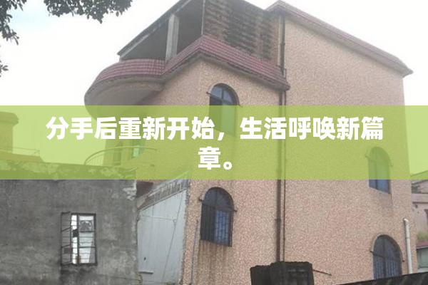 分手后重新开始，生活呼唤新篇章。