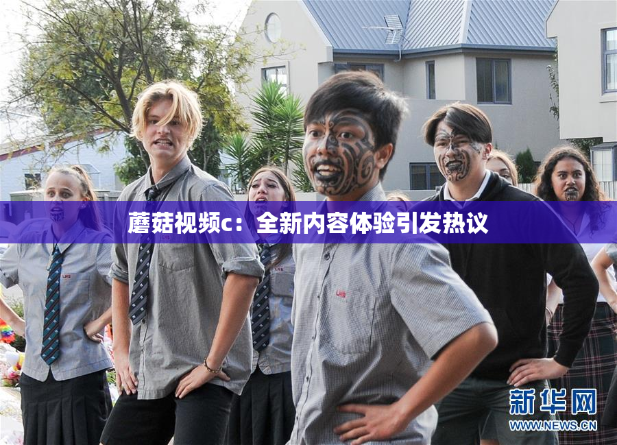 蘑菇视频c：全新内容体验引发热议