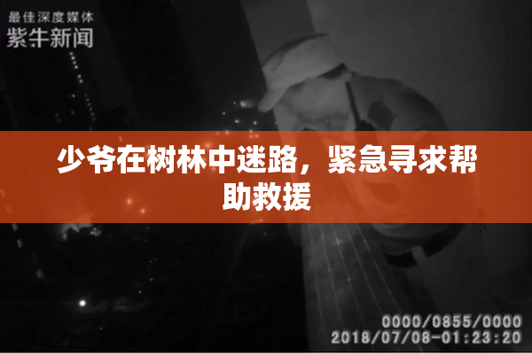 少爷在树林中迷路，紧急寻求帮助救援