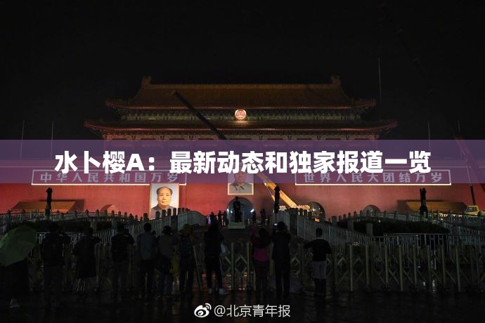 水卜樱A：最新动态和独家报道一览