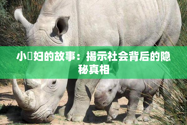 小婬妇的故事：揭示社会背后的隐秘真相