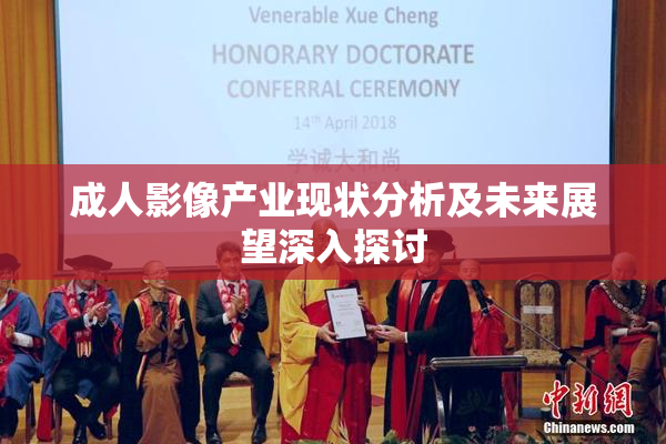 成人影像产业现状分析及未来展望深入探讨