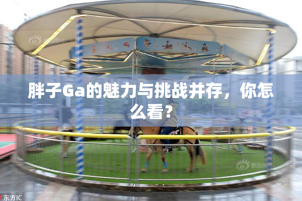 胖子Ga的魅力与挑战并存，你怎么看？