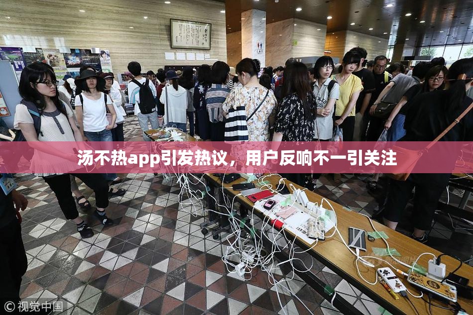 汤不热app引发热议，用户反响不一引关注