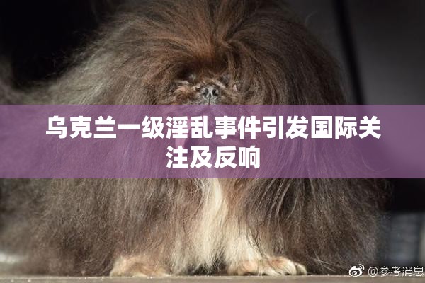 乌克兰一级淫乱事件引发国际关注及反响