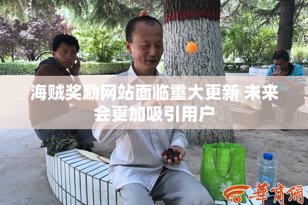 海贼奖励网站面临重大更新 未来会更加吸引用户