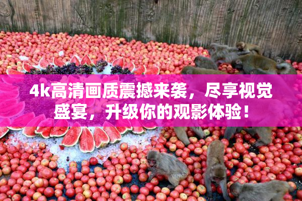 4k高清画质震撼来袭，尽享视觉盛宴，升级你的观影体验！