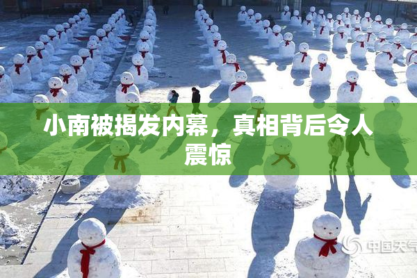 小南被揭发内幕，真相背后令人震惊