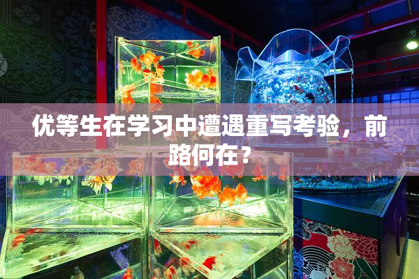 优等生在学习中遭遇重写考验，前路何在？