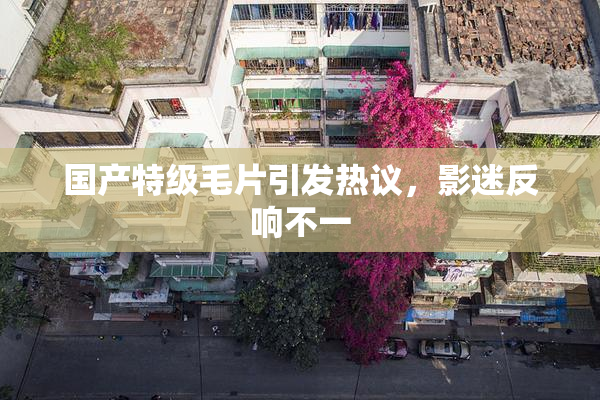 国产特级毛片引发热议，影迷反响不一