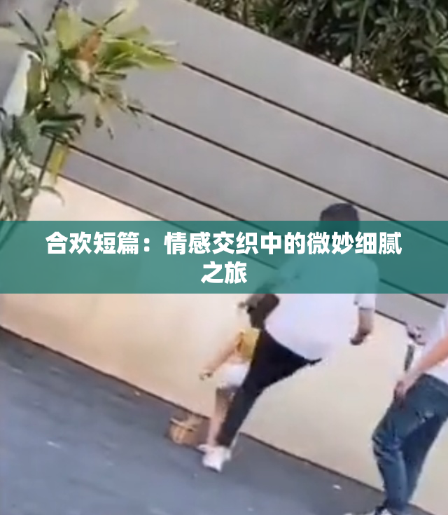 合欢短篇：情感交织中的微妙细腻之旅