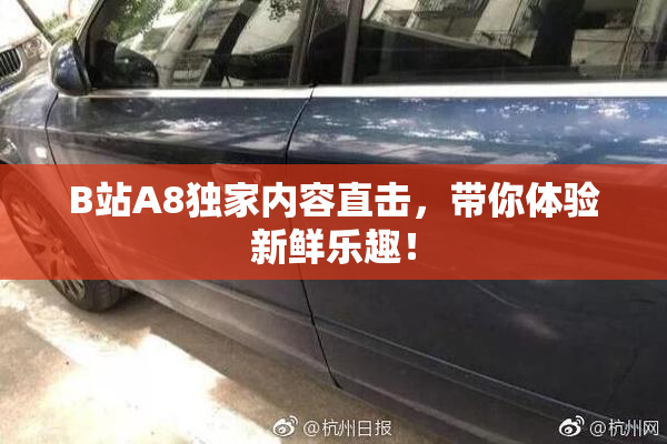 B站A8独家内容直击，带你体验新鲜乐趣！