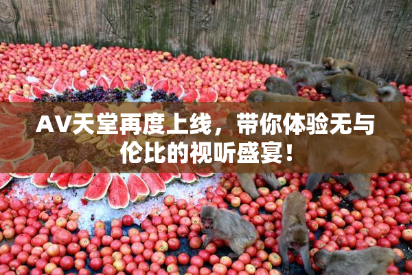 AV天堂再度上线，带你体验无与伦比的视听盛宴！