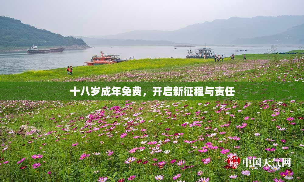 十八岁成年免费，开启新征程与责任
