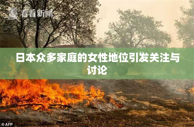 日本众多家庭的女性地位引发关注与讨论