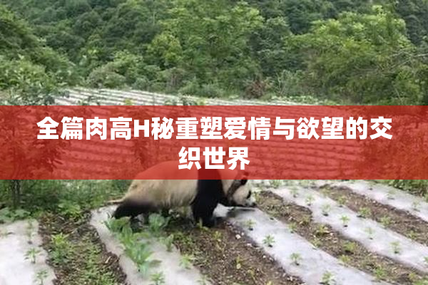全篇肉高H秘重塑爱情与欲望的交织世界