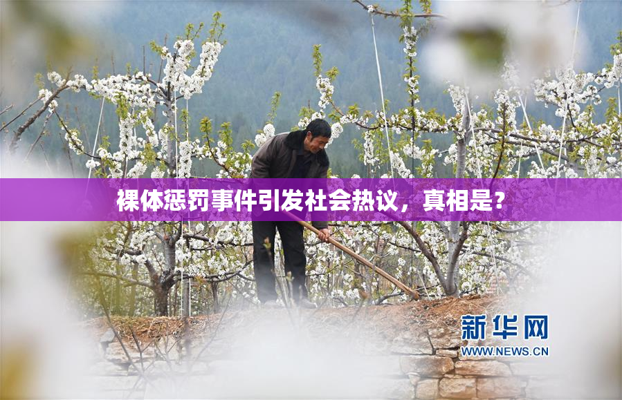 裸体惩罚事件引发社会热议，真相是？