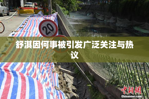舒淇因何事被引发广泛关注与热议