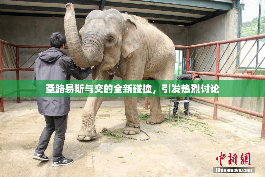 圣路易斯与交的全新碰撞，引发热烈讨论